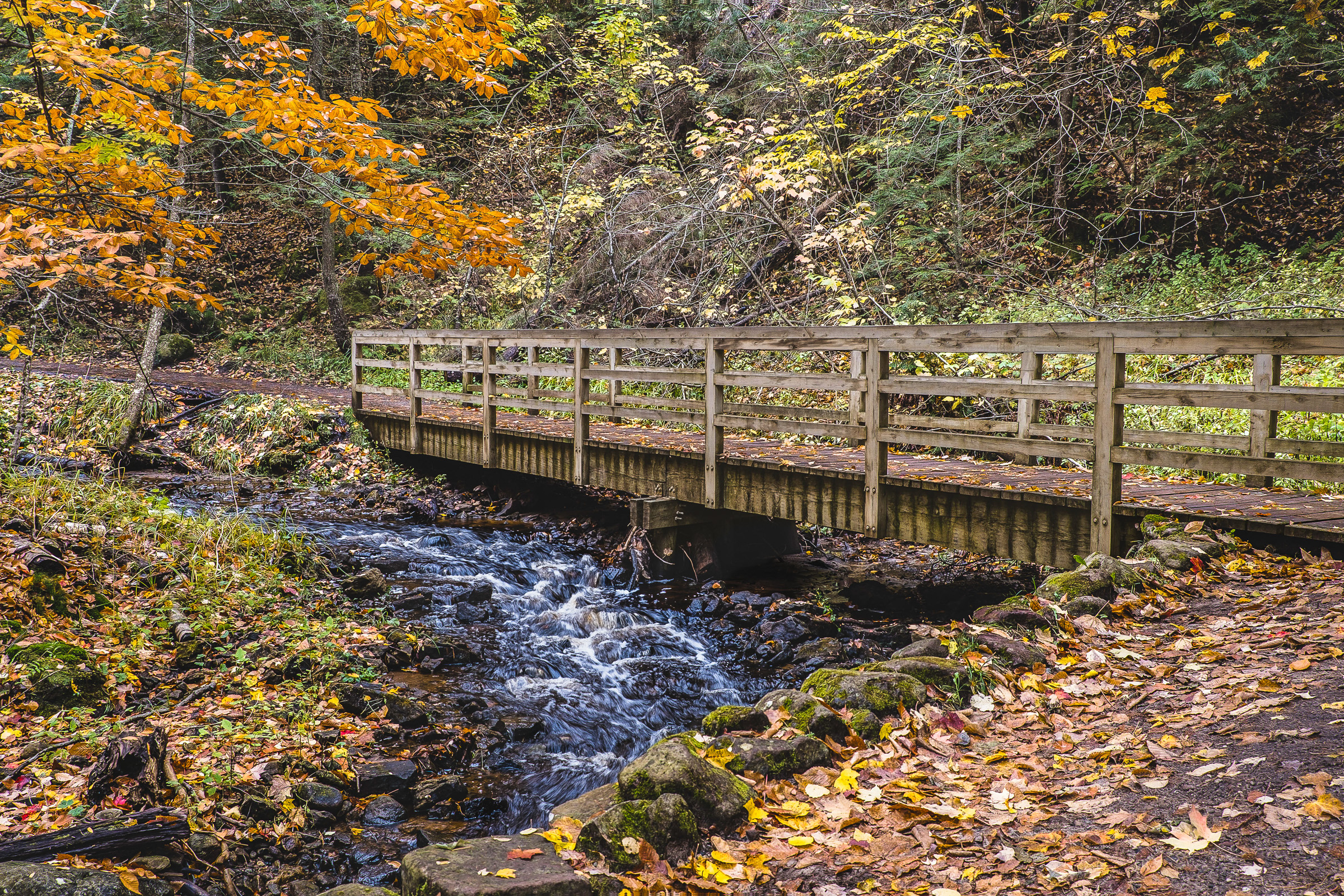 Stream and Bridge